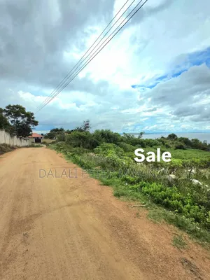 3200sqm Mixed-Use Land for Sale, Ibanda Mwanza