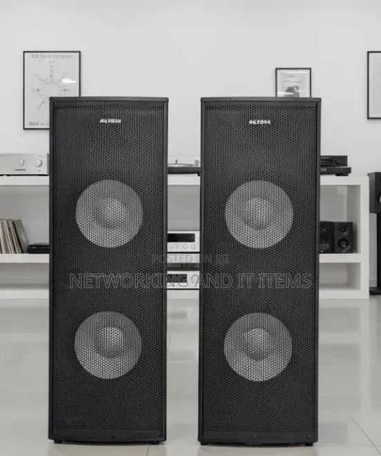 Ailyons Column Speaker 300W RMS - 1