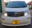 Toyota Alphard 2006 White - 1