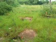 Plot for Sale - 1080 SQM, Kilungule Rd - 1