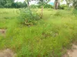 Plot for Sale - 1080 SQM, Kilungule Rd - 2