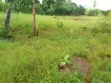 Plot for Sale - 1080 SQM, Kilungule Rd - 3