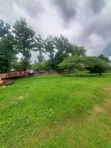 Land for Sale in Madale Mivumoni (2400 sqm) - 1