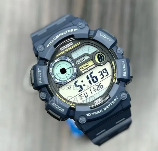 Casio WS-1500H-2AVDF Watch - 1