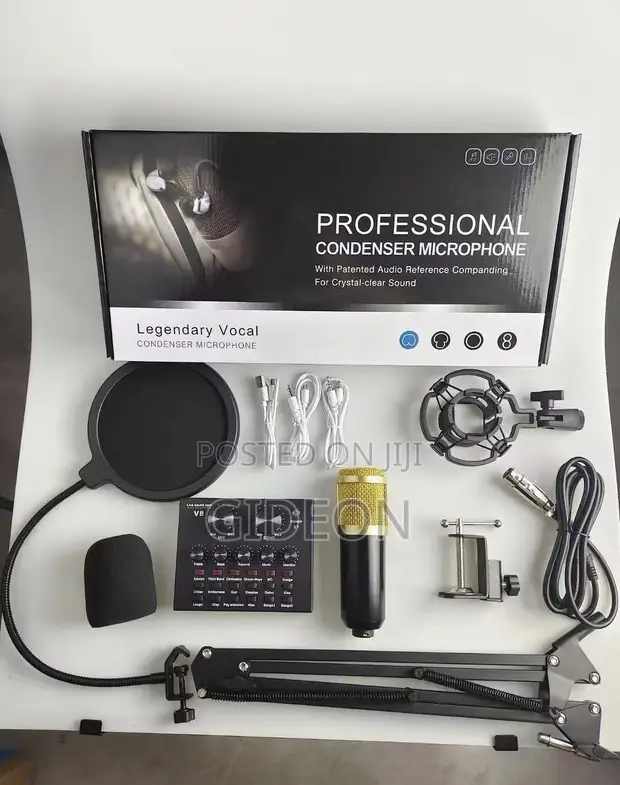 Professional Condenser Microphone for Recording & Broadcasting - 1