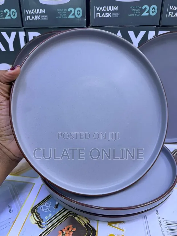 6 Piece Dinner Plates Set - 1
