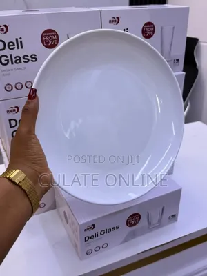 6pcs Large Bone China Dinner Plates