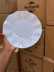 6pcs Large Bone China Dinner Plates - 3
