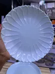 6pcs Large Bone China Dinner Plates - 4