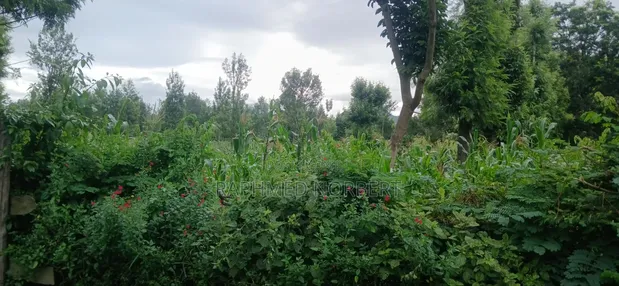 Residential Plot for Sale in Ngaramtoni-Kilimamoto, Arusha - 1