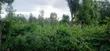 Residential Plot for Sale in Ngaramtoni-Kilimamoto, Arusha - 1