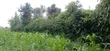 Residential Plot for Sale in Ngaramtoni-Kilimamoto, Arusha - 5