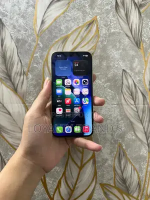 Apple iPhone 13 Pro 256GB - Used