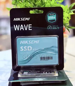 Hiksemi Wave 256GB SATA SSD Storage
