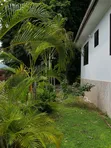 3 Bedroom Apartment for Rent in Makongo Juu, Goba - 5