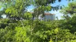 Beach Plot for Sale at Bagamoyo - 6 Acres - 2