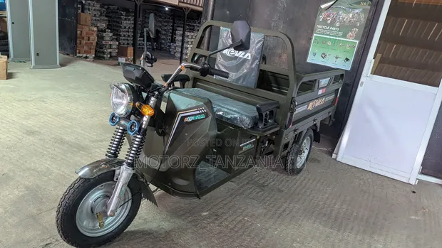New Kevla E10 Electric Tricycle - 2025 Model - 1