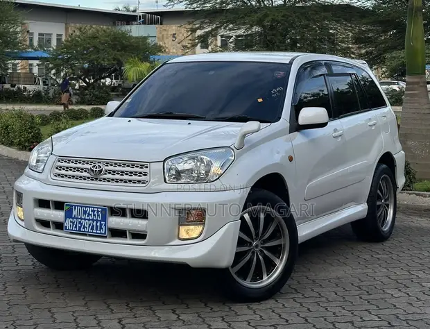 Toyota RAV4 2004 Pearl - 1