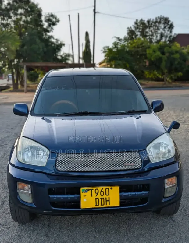 Toyota RAV4 2004 Blue - 1