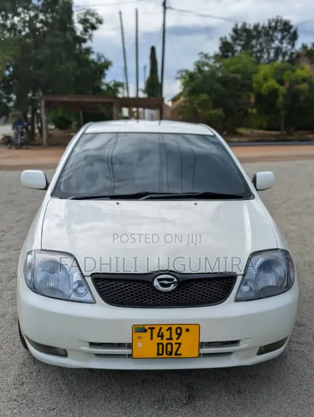 Toyota Corolla RunX 2004 White - 1