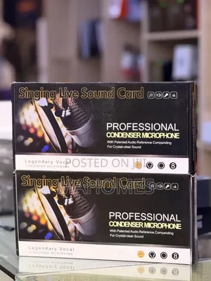 BM-800 Condenser Microphone & V8 Sound Card Bundle