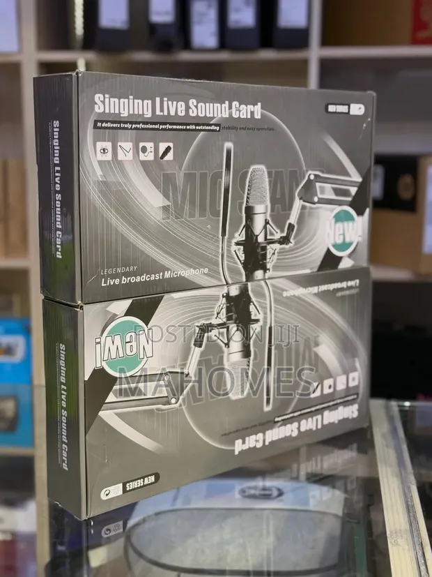 Professional Condenser Microphone Recording Kit - 1