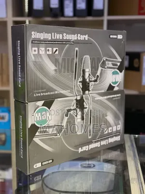 Professional Condenser Microphone Recording Kit