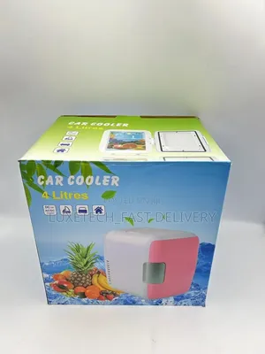 Portable 4L Mini Car Fridge/Warmer
