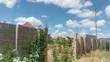 3-Bedroom House for Sale in Dodoma Michese - 3