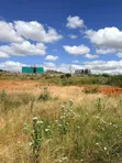 Eneo la Viwanda la Eka 250 Linauzwa, Kibaha - 3