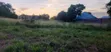140 Acres Industrial Plot for Sale Kibaha - 2