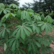 Industrial Plot for Sale Kibaha, 60 Acres - 2