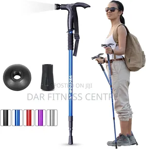 Brand New Hiking Stick