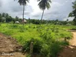 Residential Plot for Sale, Mbezi Beach - 1