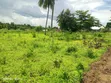 Residential Plot for Sale, Mbezi Beach - 3