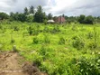 Residential Plot for Sale, Mbezi Beach - 5
