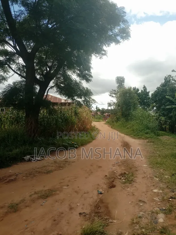 Residential Plot for Sale in Lugalo, Iringa - 1