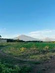 Prime 1 Acre Residential Land for Sale in Burka-Arusha - 1