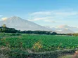Prime 1 Acre Residential Land for Sale in Burka-Arusha - 3