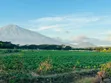 Prime 1 Acre Residential Land for Sale in Burka-Arusha - 4