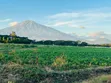 Prime 1 Acre Residential Land for Sale in Burka-Arusha - 5