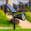 Garden Solar Lights - Outdoor Lighting - 1
