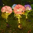 Solar Garden Lights - 1