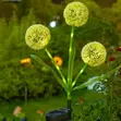 Solar Garden Lights - 2