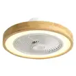 New Fan Light with Integrated Fan - 2