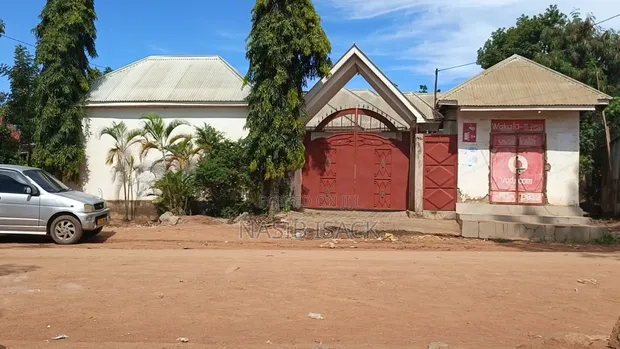 Furnished 3 Bedroom House for Sale in Igoma, Mwanza - 1