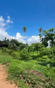 5 Acres Land for Sale in Kisarawe 2, Kigamboni - 2