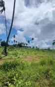 5 Acres Land for Sale in Kisarawe 2, Kigamboni - 4