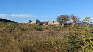 Plots for Sale Near Benjamin Mkapa Hospital, Dodoma