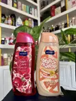 Hobby MLS 500 Mini Shower Gel - 1